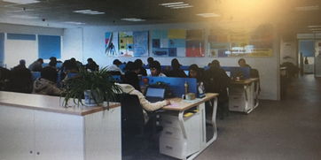 瑞泰信息技術2021年.net實習生工作內容 看準網